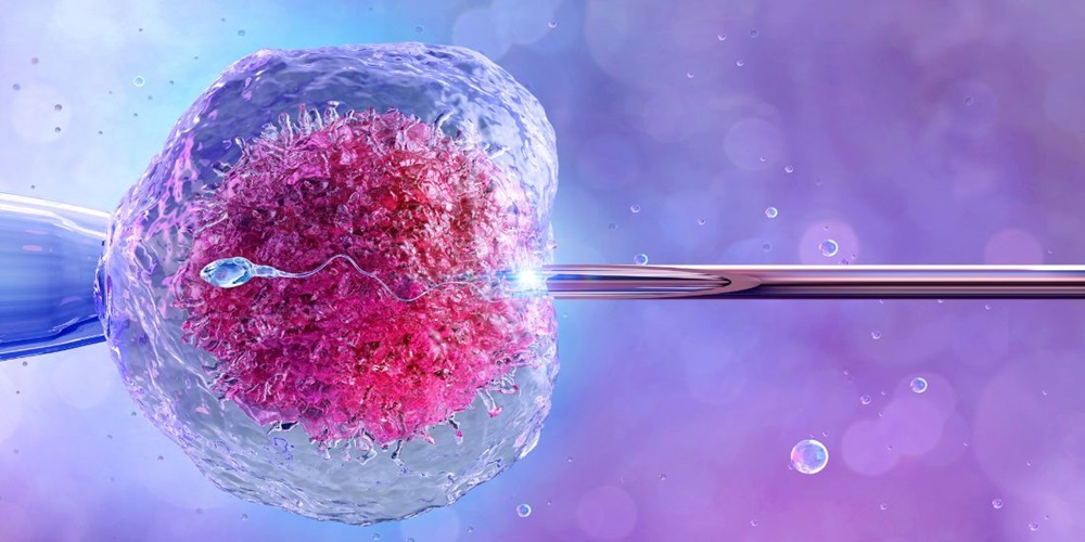 in vitro fertilization in mandi hp